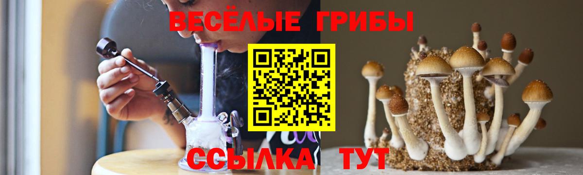 Псилоцибиновые грибы ЛСД Мытищи